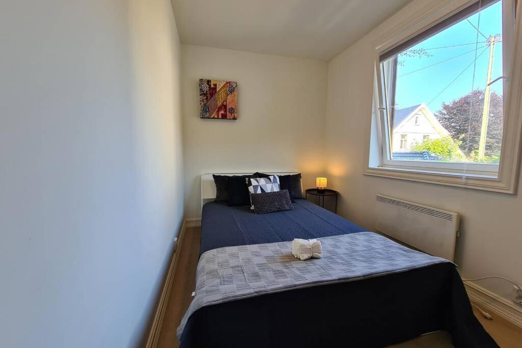 Apartment Bright And Modern 2-bedroom Apartment, Near Center, Best Location *