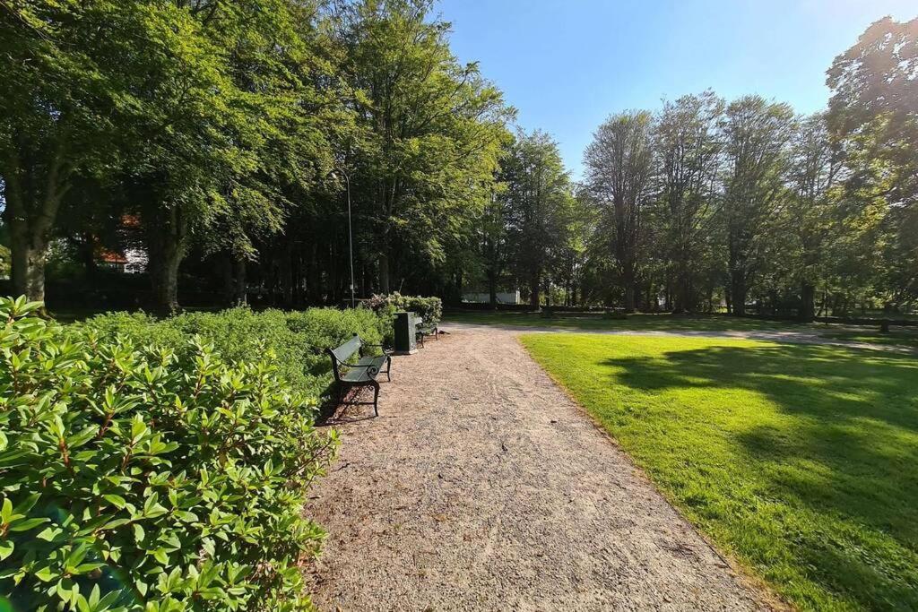 Bright And Modern 2-bedroom Apartment, Near Center, Best Location